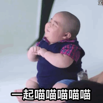 起喵喵喵喵喵