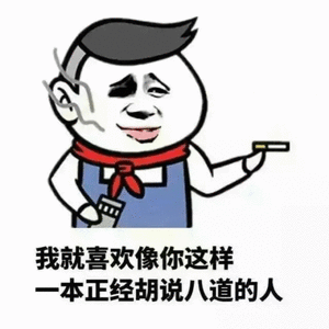 我就喜欢像你这样本正经胡说八道的人