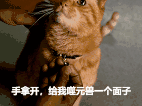 手拿开给我噬元兽个面子