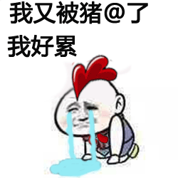 我又被猪了我好累