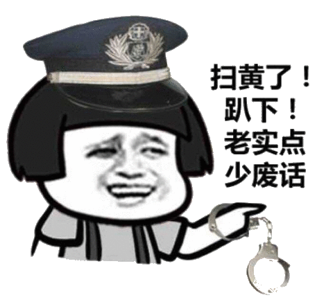 扫黄了趴下老实点少废话