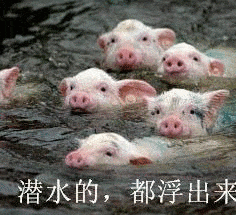 潜水的都浮出来