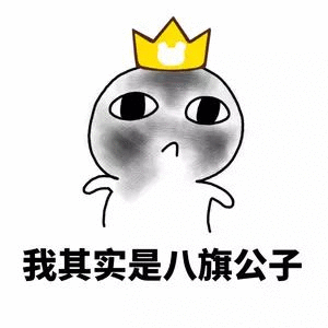 我其实是八旗公子