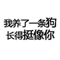 我养了条狗长得挺像你
