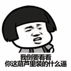 我倒要看看你这葫芦里装的什么逼