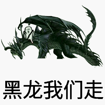 黑龙我们走
