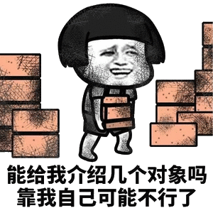 能给我介绍几个对象吗靠我自己可能不行了