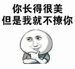 你长得很美但是我就不撩你