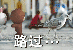 路过可爱
