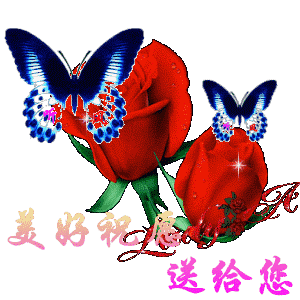 美好祝愿送给您
