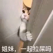 姐妹起拉屎吗