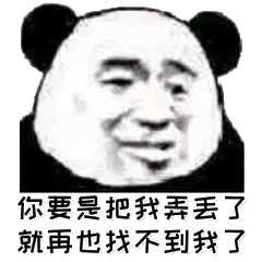 你要是把我弄丢了就再也找不到我了