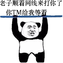 老子顺着网线来打你了你TM给我等着