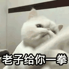 老子给你拳