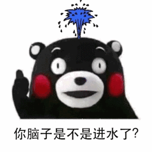 你脑子是不是进水了
