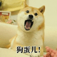 狗蛋儿