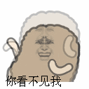 你看不见我看不见我