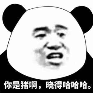 你是猪啊晓得哈哈哈