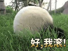 好我滚