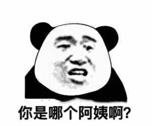 你是哪个阿姨啊