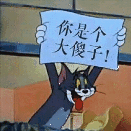 你是个大傻子