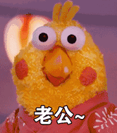 老公小鸡