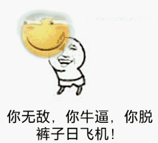 你无敌你牛逼你脱裤子日飞机