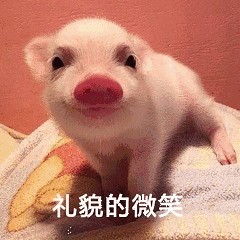 礼貌的微笑猪猪