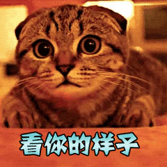看你的样子没男朋友吧