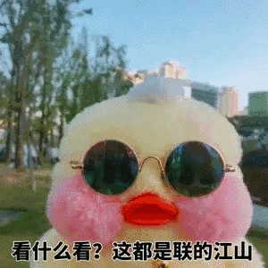 看什么看这都是联的江山
