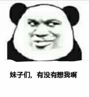 妹子们有没有想我啊