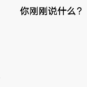 你刚刚说什么