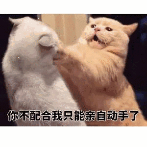 你不配合我只能亲自动手了