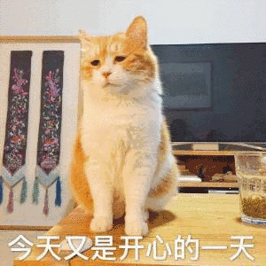 今天又是开心的天