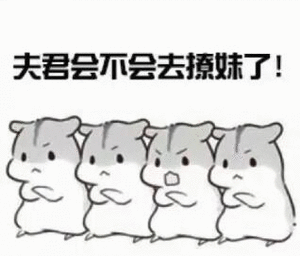 夫君会不会去撩妹了
