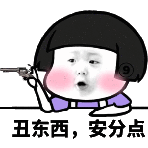 丑东西安分点