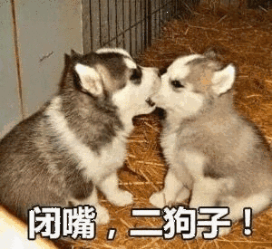 闭嘴二狗
