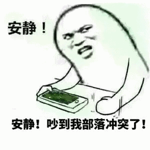 安静安静吵到我部落冲突了