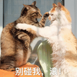 别碰我滚