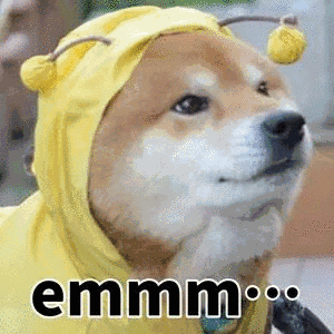 emmmmm小狗