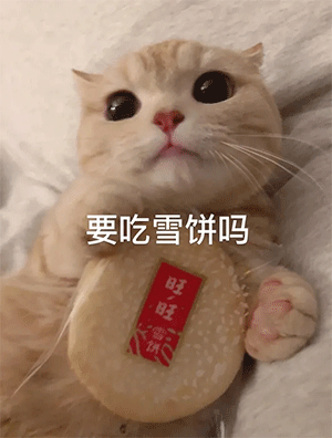要吃雪饼吗 - 猫咪表情表情包