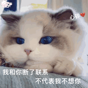 我和你断了联系，不代表我不想你 - 猫咪表情表情包