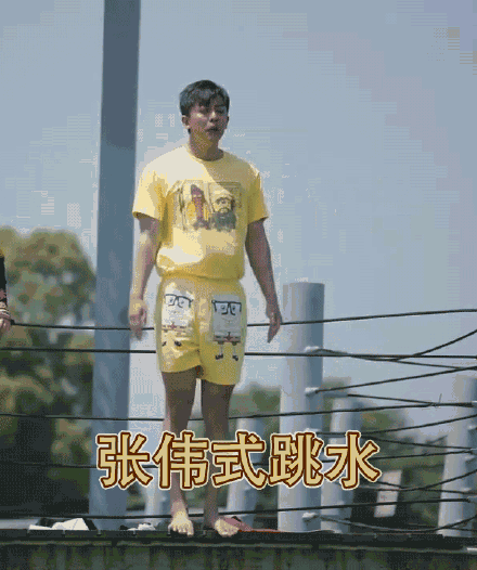 张伟式跳水——爱情公寓5张伟系列表情包