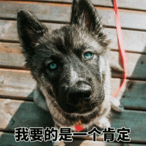 我要的是个肯定
