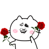 送给你小花花玫瑰
