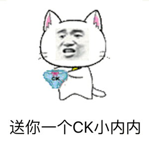 送你条CK小内内