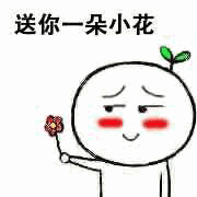 送你朵小花