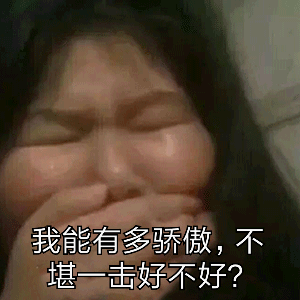 我能有多骄傲不堪击好不好