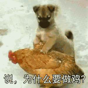 说为什么要做鸡