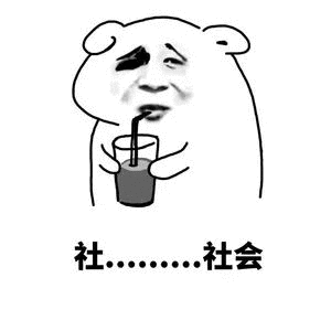 社社会
